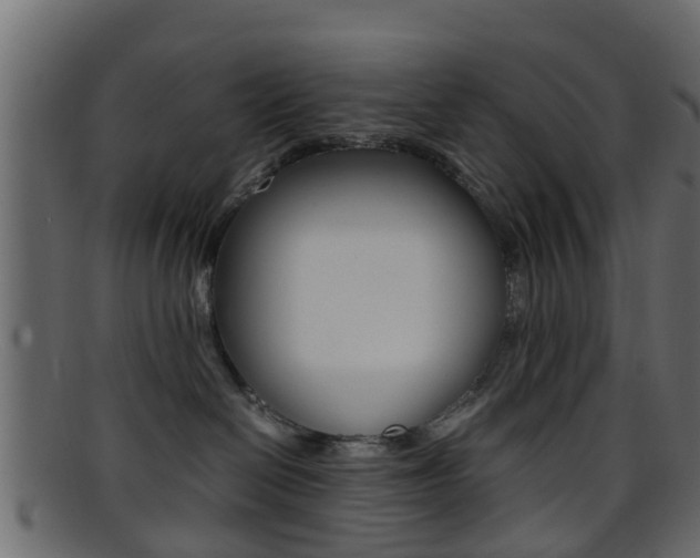 X0000095690286200801081045