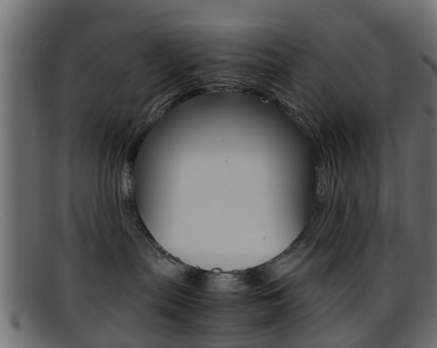 X0000095690287200801081045