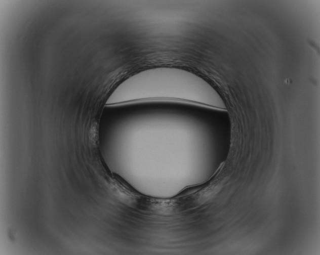 X0000095690288200801081045