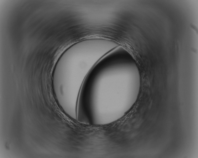 X0000095690289200801081045