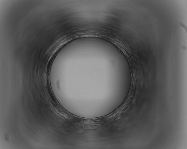 X0000095690290200801081045