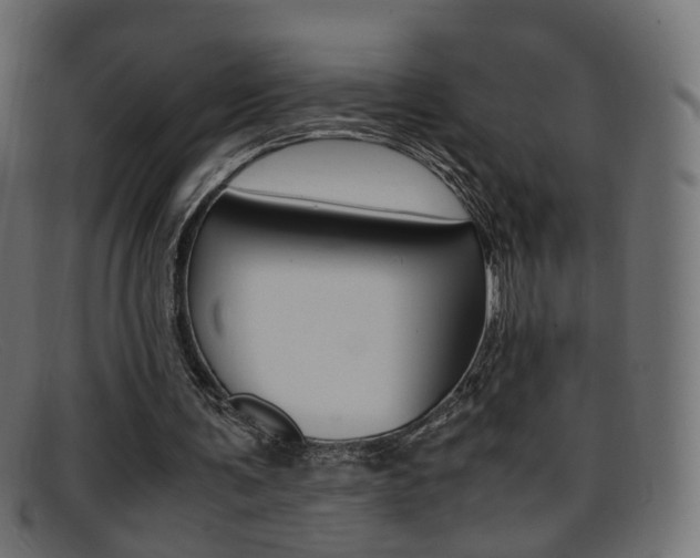 X0000095690291200801081045