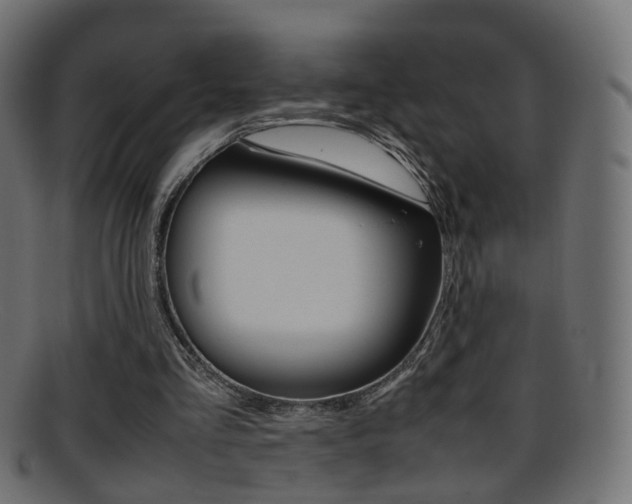 X0000095690293200801081045