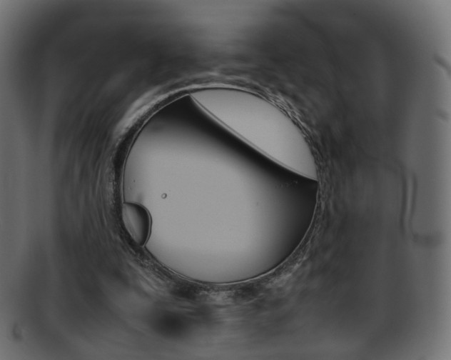 X0000095690295200801081044