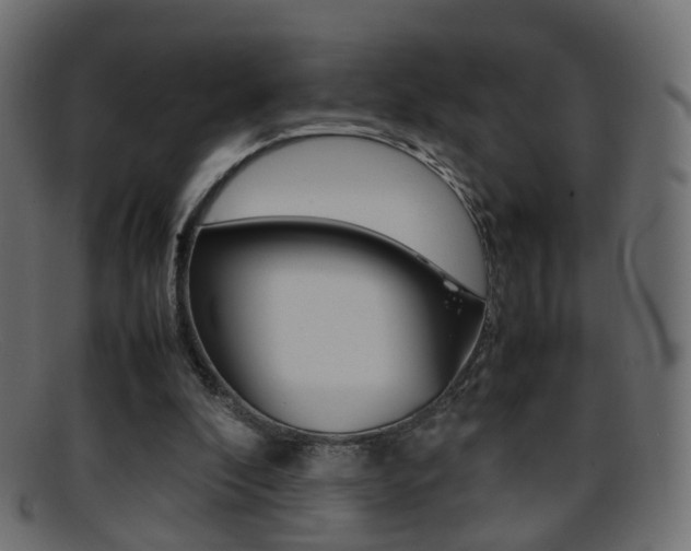 X0000095690296200801081044