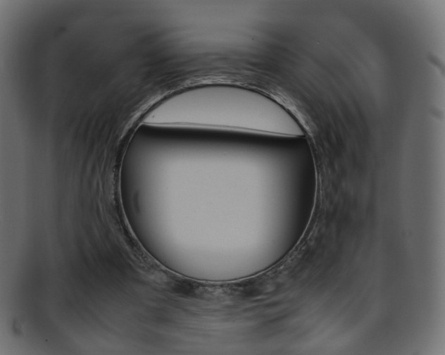 X0000095690297200801081044