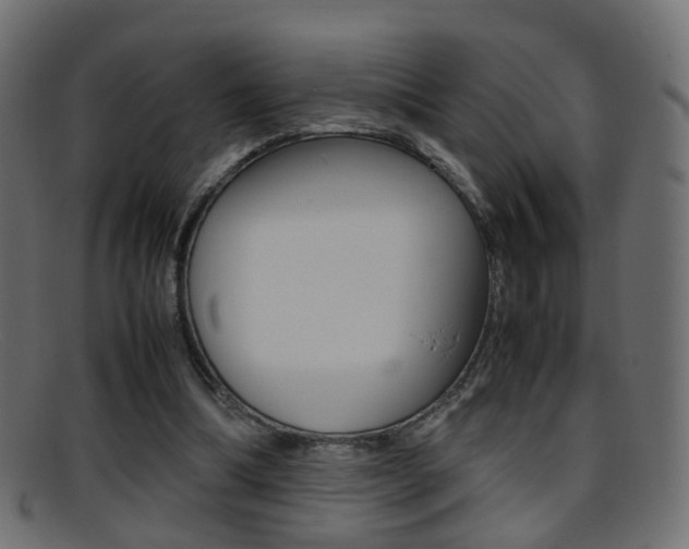 X0000095690298200801081044