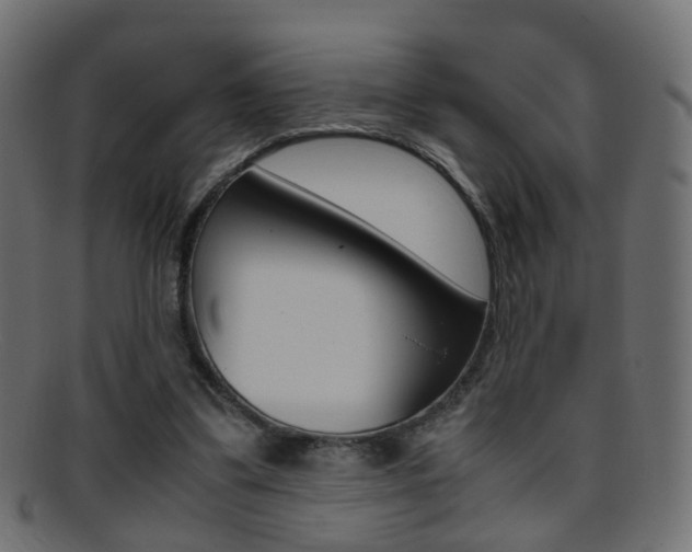 X0000095690299200801081044