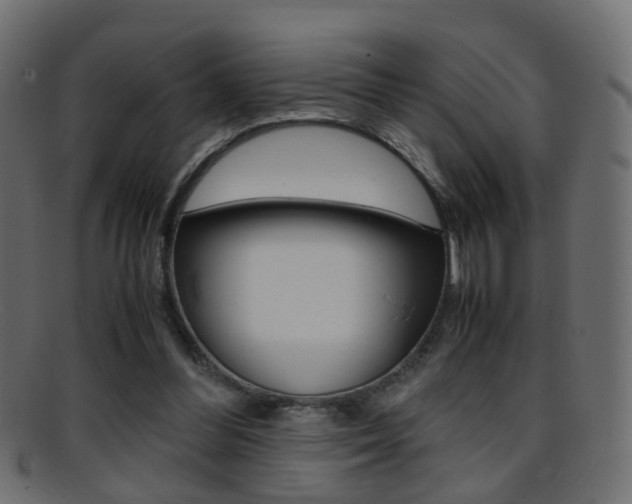 X0000095690300200801081044