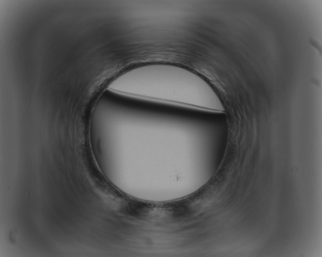 X0000095690303200801081044