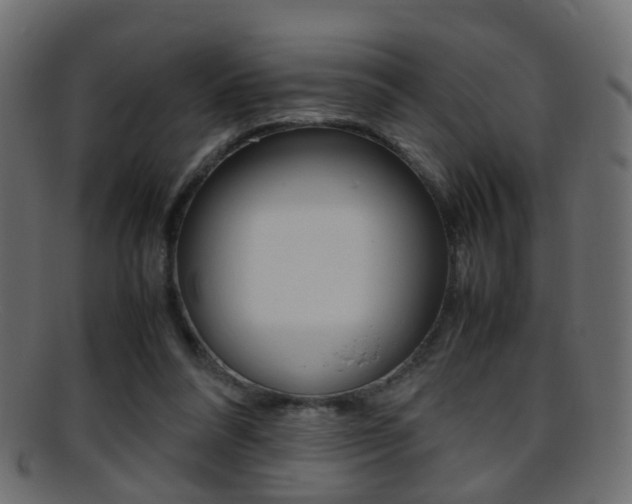 X0000095690304200801081044