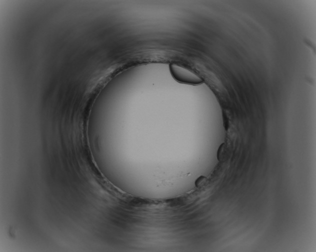 X0000095690306200801081044