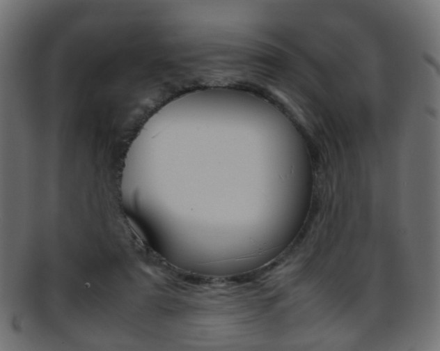 X0000095690307200801081044