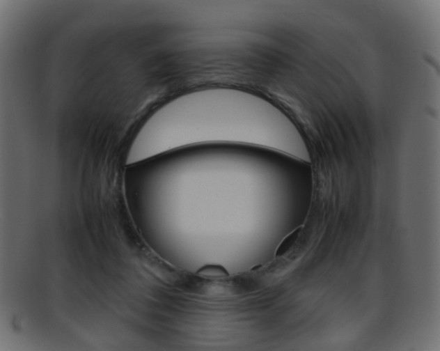 X0000095690308200801081044