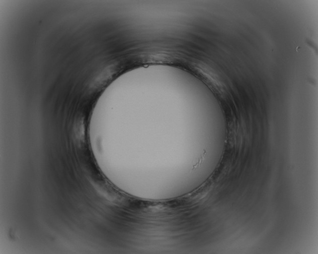 X0000095690310200801081044