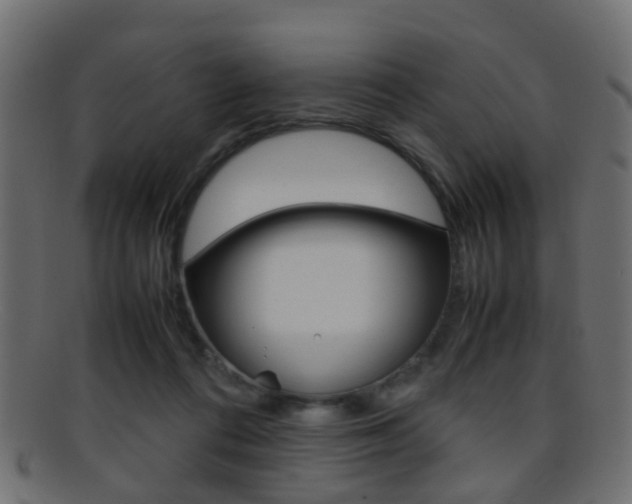 X0000095690312200801081044