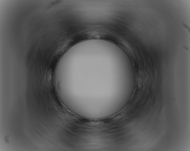 X0000095690314200801081044