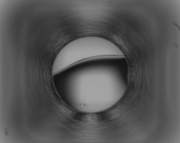 X0000095690317200801081044