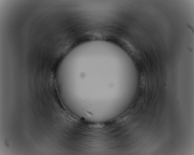 X0000095690318200801081044