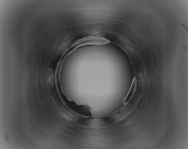 X0000095690320200801081044