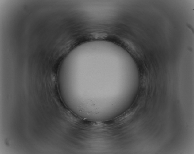 X0000095690321200801081044
