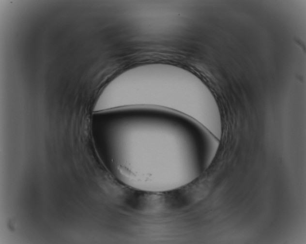 X0000095690325200801081044