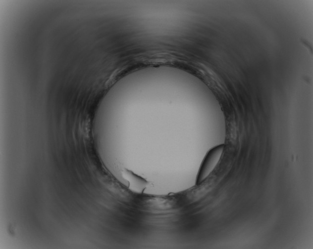 X0000095690326200801081044