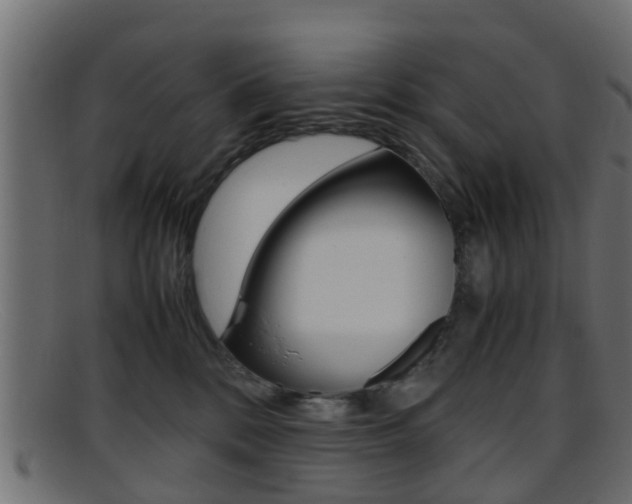 X0000095690328200801081044