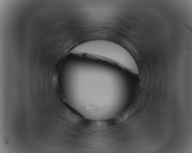 X0000095690329200801081044