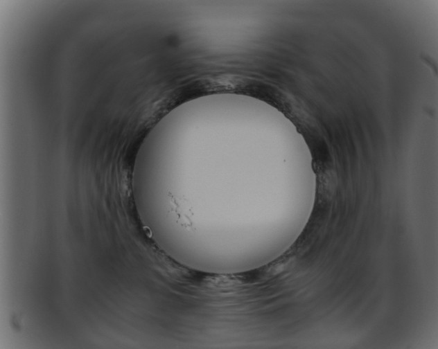 X0000095690331200801081044
