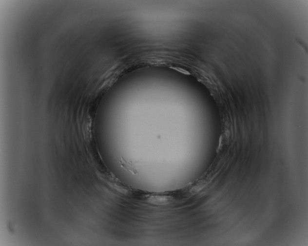 X0000095690332200801081044