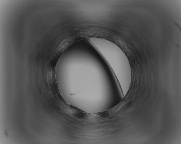 X0000095690333200801081044
