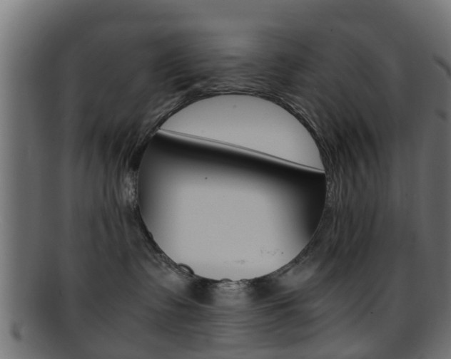 X0000095690335200801081044