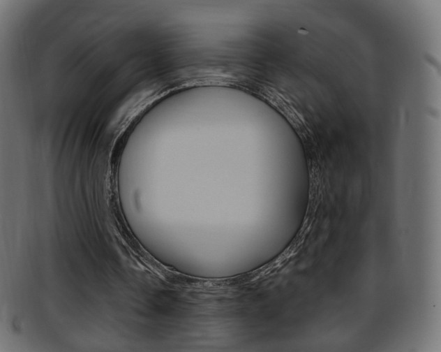 X0000095690338200801081043