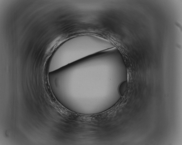 X0000095690339200801081043
