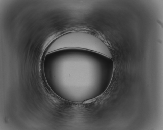X0000095690340200801081043