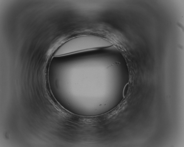 X0000095690341200801081043
