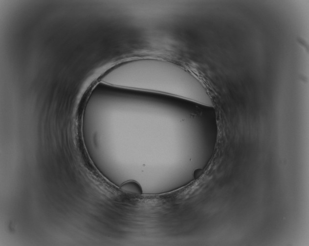 X0000095690342200801081043