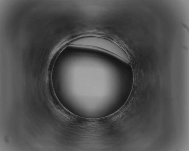 X0000095690344200801081043