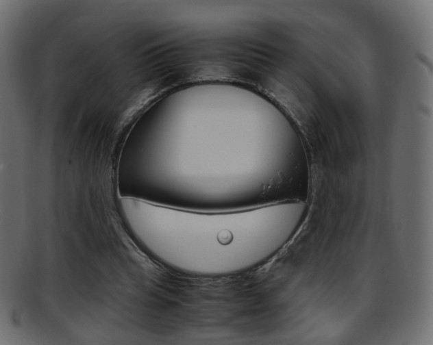X0000095690345200801081043