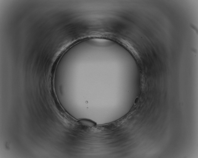 X0000095690346200801081043