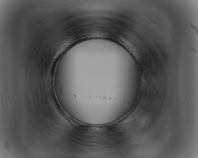 X0000095690347200801081043