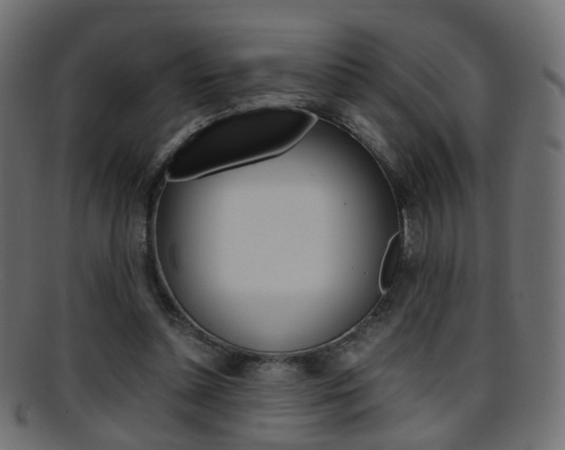 X0000095690348200801081043