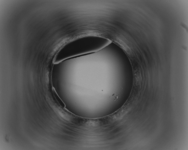 X0000095690350200801081043