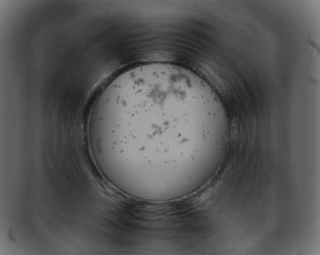 X0000095690351200801081043