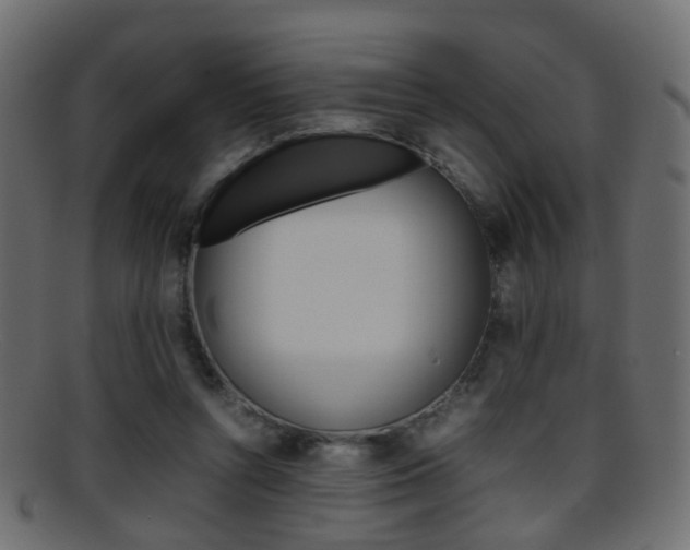X0000095690352200801081043