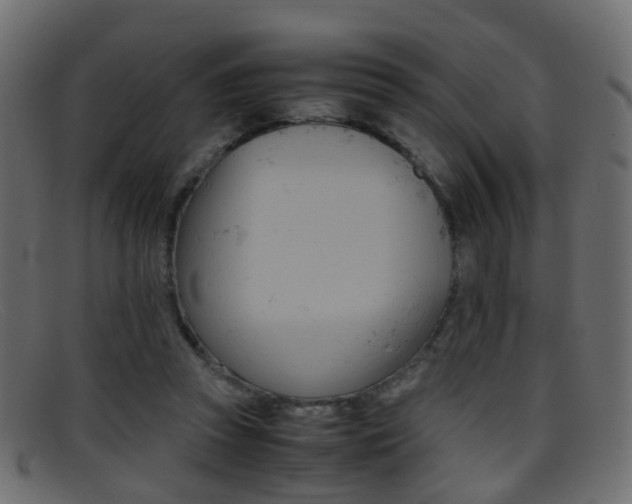 X0000095690353200801081043