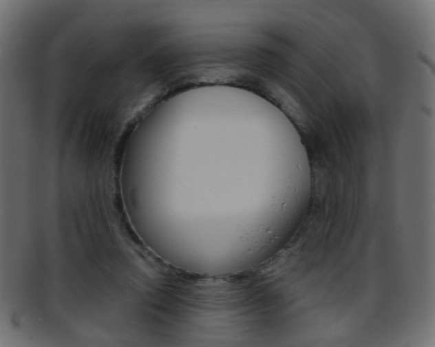 X0000095690354200801081044