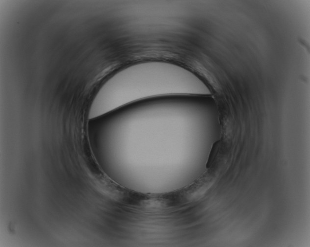 X0000095690356200801081044