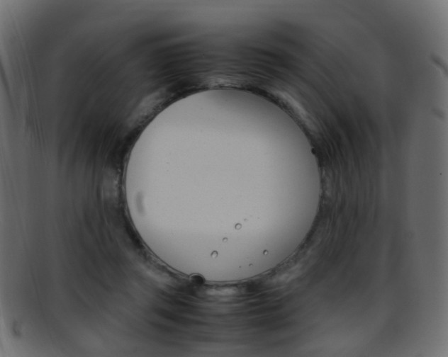 X0000095690357200801081044
